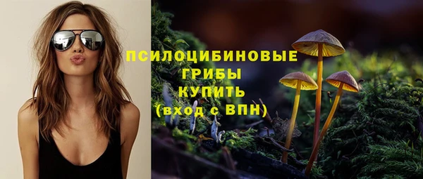 твердый Покровск