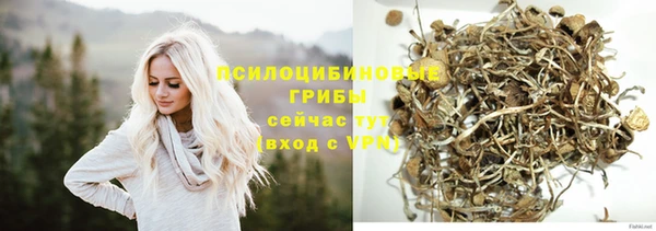 бошки Армянск